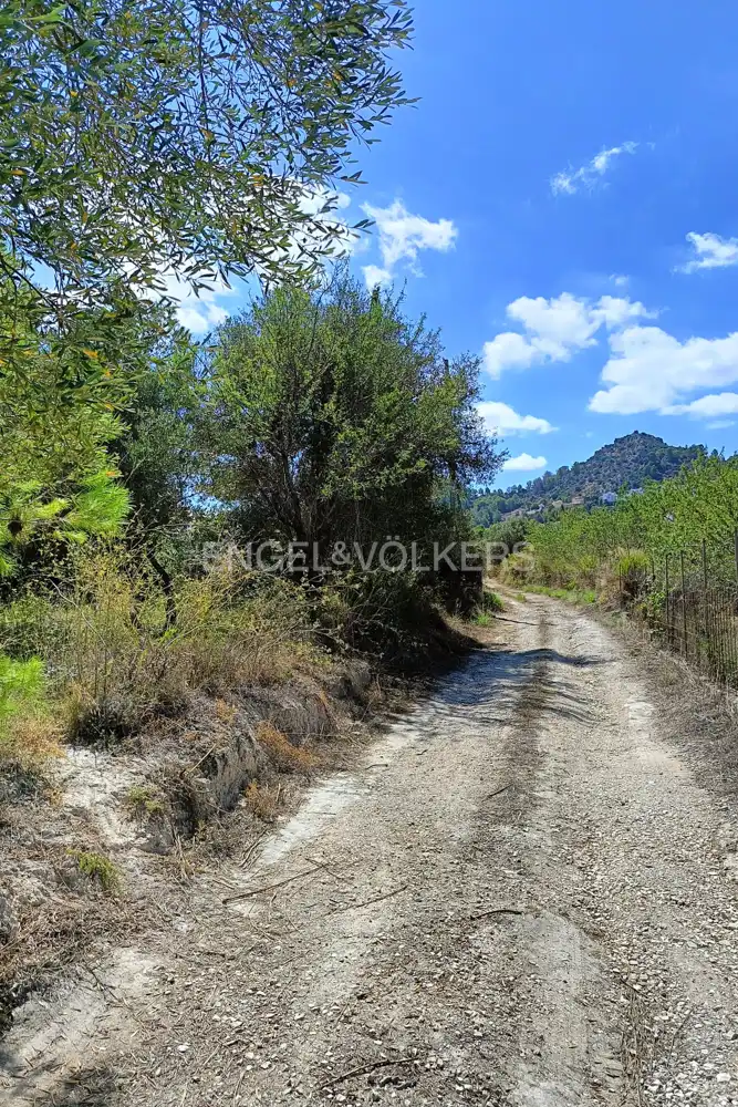 Terrenys i solars en venda a Pedreguer