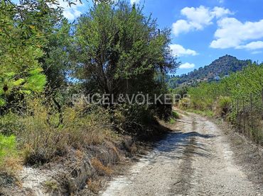 Terrenos y solares en venta en Pedreguer