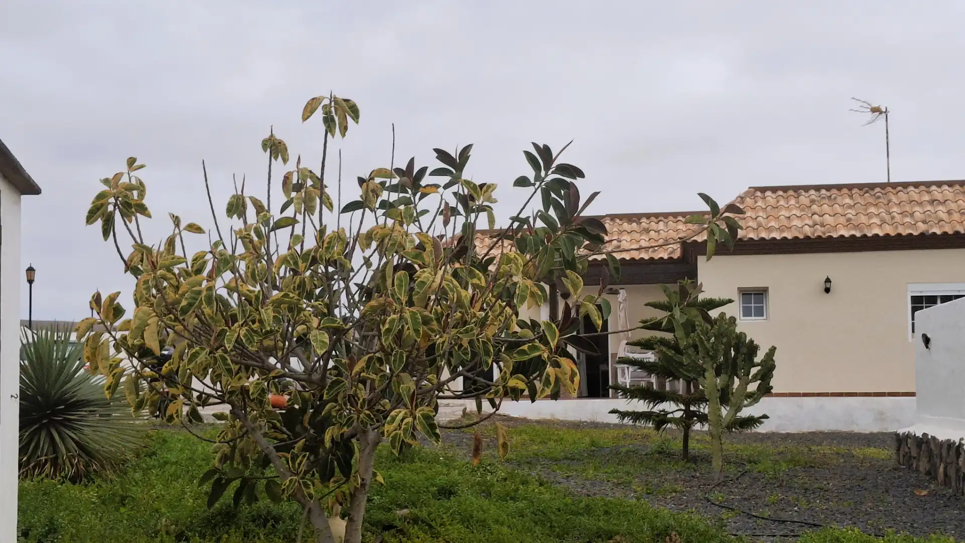 Vista exterior de Casa o xalet en venda en La Oliva amb Aire condicionat, Jardí privat i Terrassa