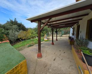 Terrace of Land for sale in Los Barrios