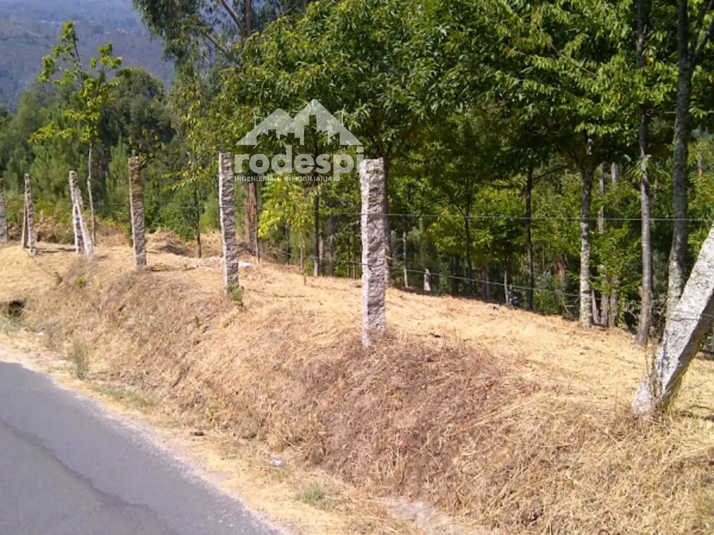 Terreny rústic en venda a A Cañiza, imagen 7