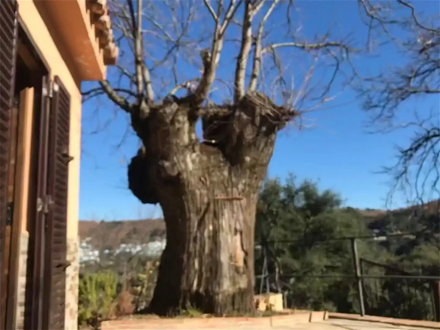 Jardí de Finca rústica en venda en Júzcar amb Jardí privat, Traster i Moblat