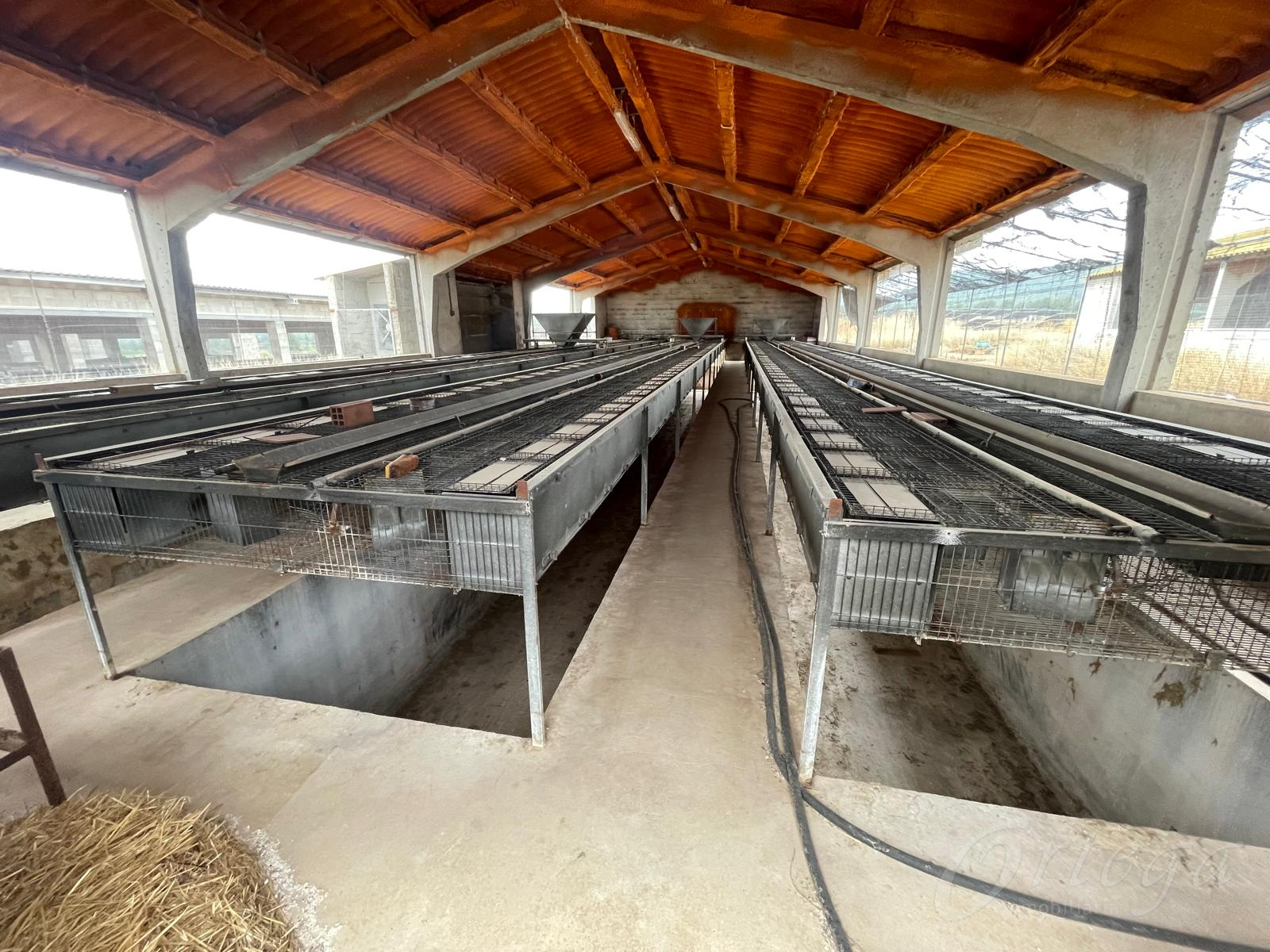 Nave industrial en venta en Cehegín