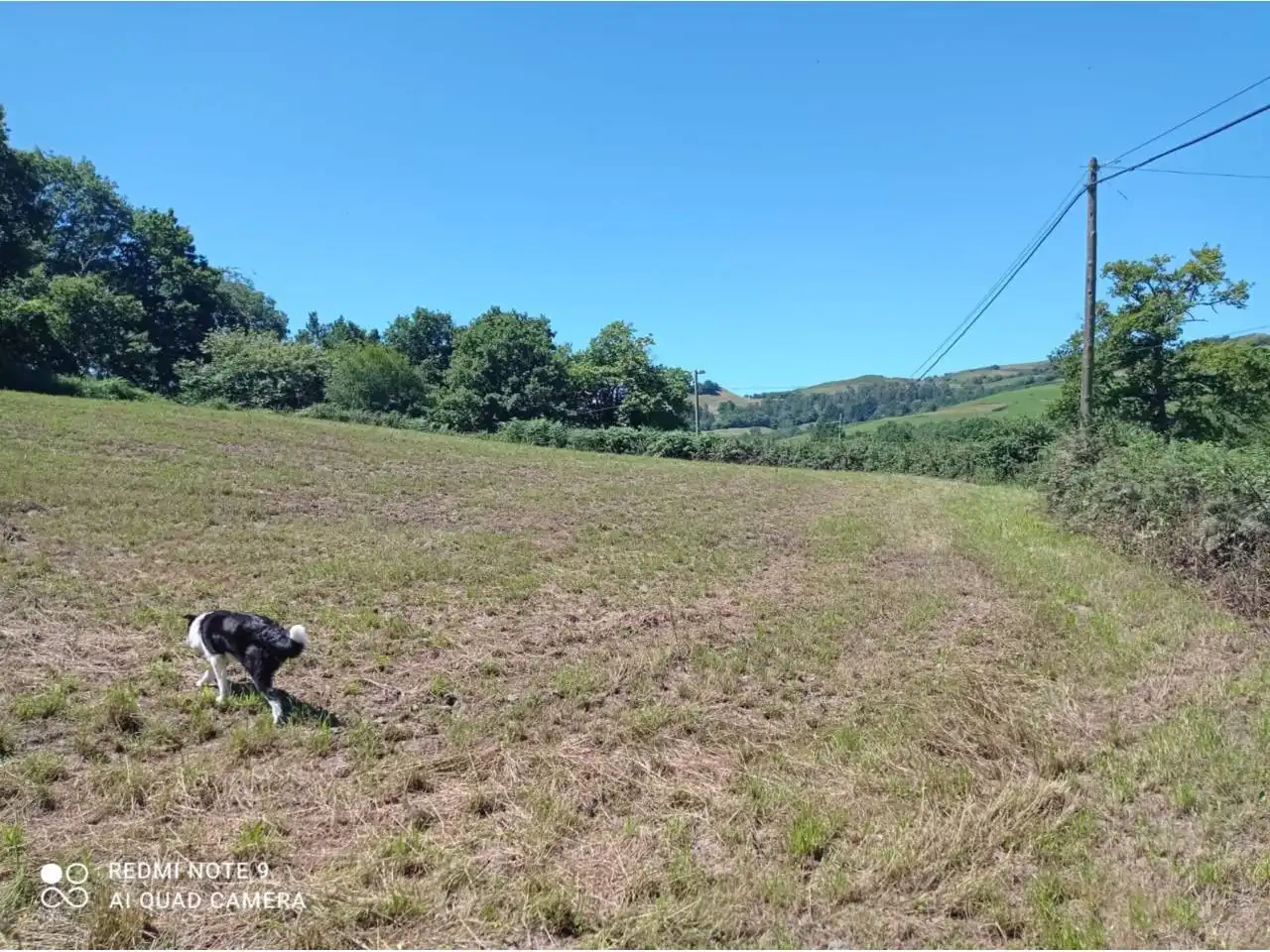 Terreno residenziale in vendita a Karrantza Harana/Valle de Carranza, imagen 3