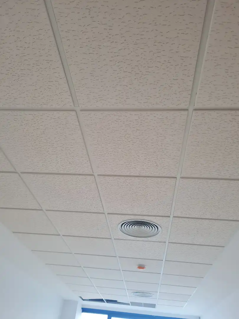 Büro mit Aufzug zur Miete in Avenida Tecnología 26, imagen 11