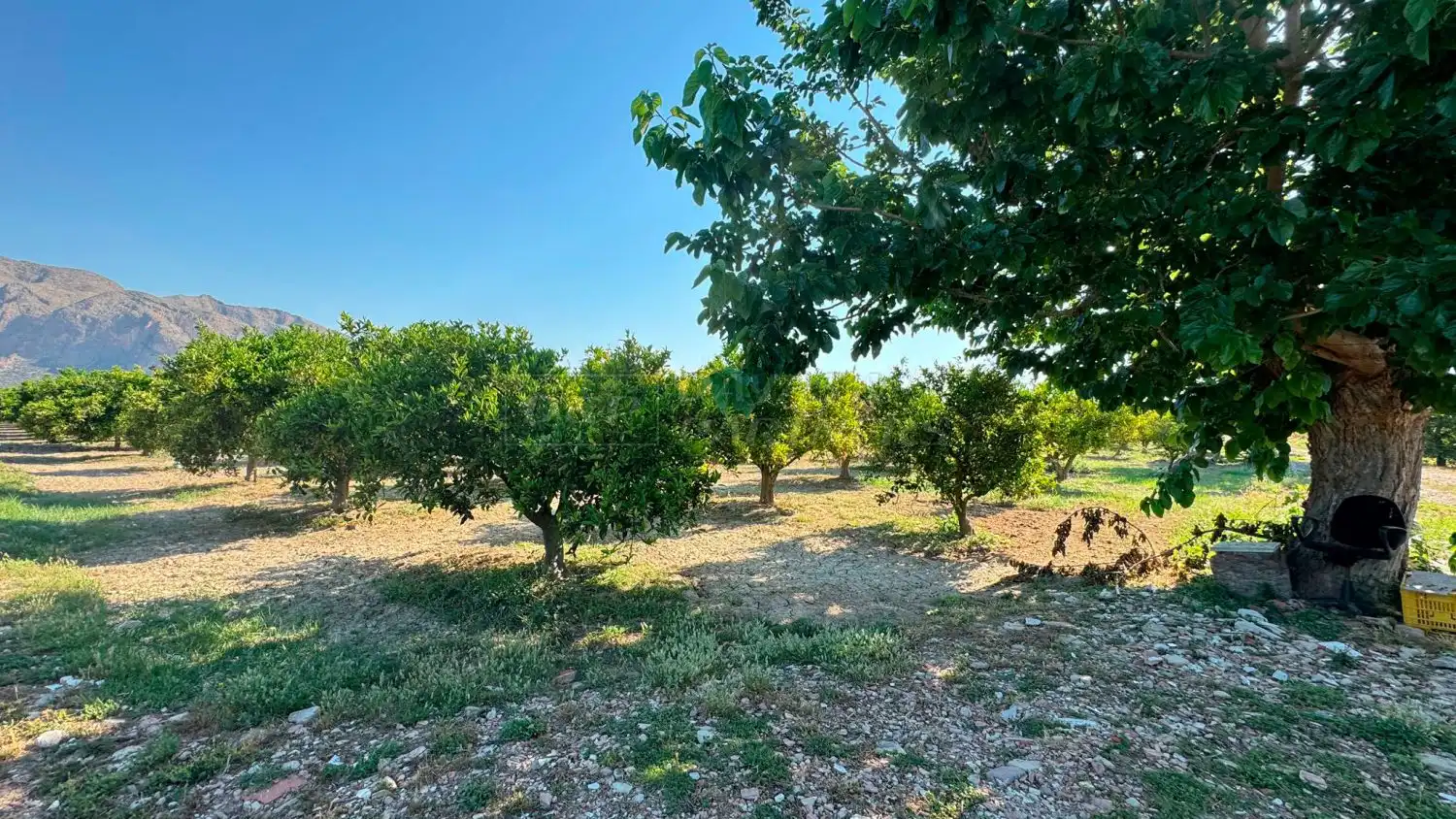 Finca rústica en venda en Redován