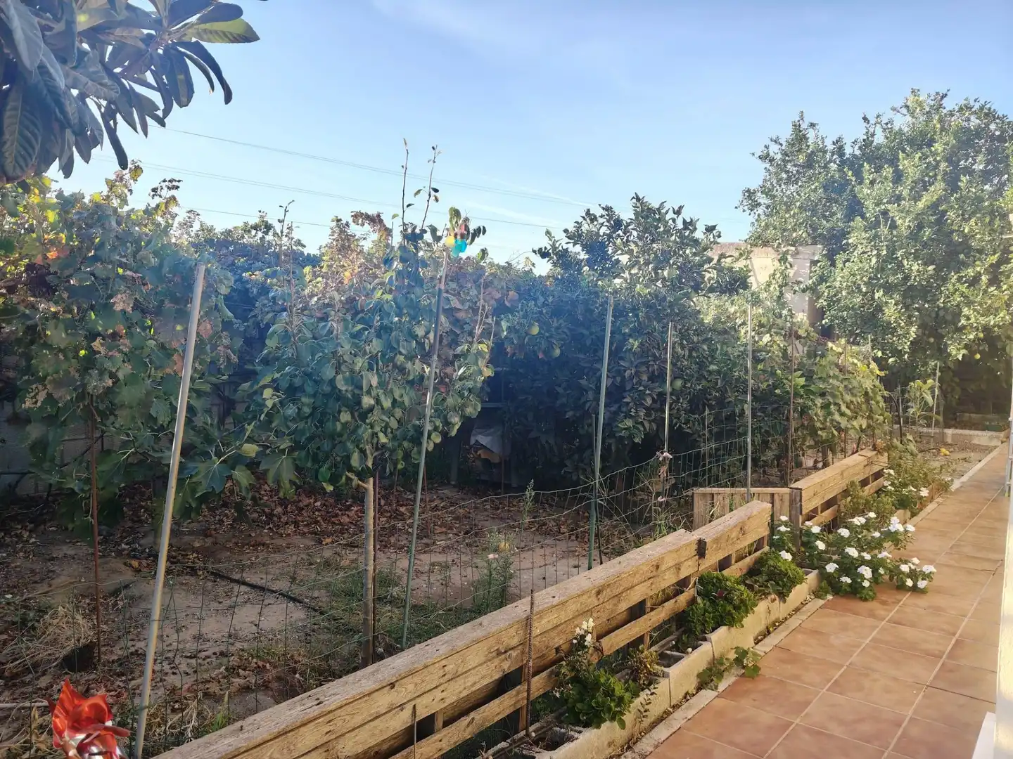 Casa rústica amb jardí en venda a Calle las Boneas 4, imagen 5