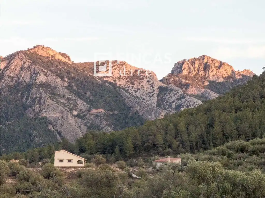 Vista exterior de Finca rústica en venta en Benifallet con Trastero