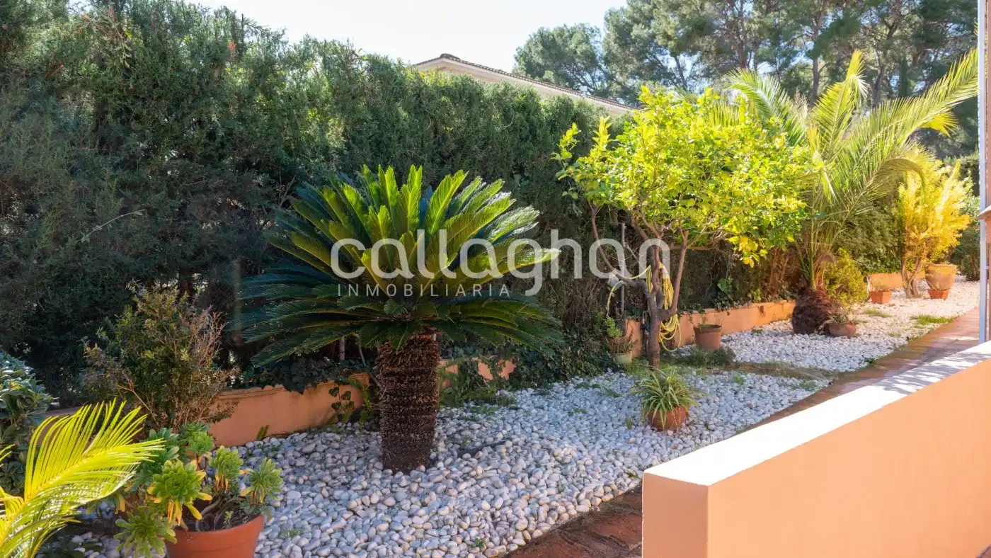 Jardín de Casa o chalet en venta en Paterna con Aire acondicionado, Calefacción y Jardín privado