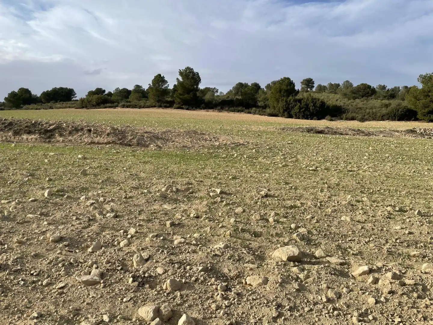 Terreni e lotti in vendita a La Milagrosa, imagen 11