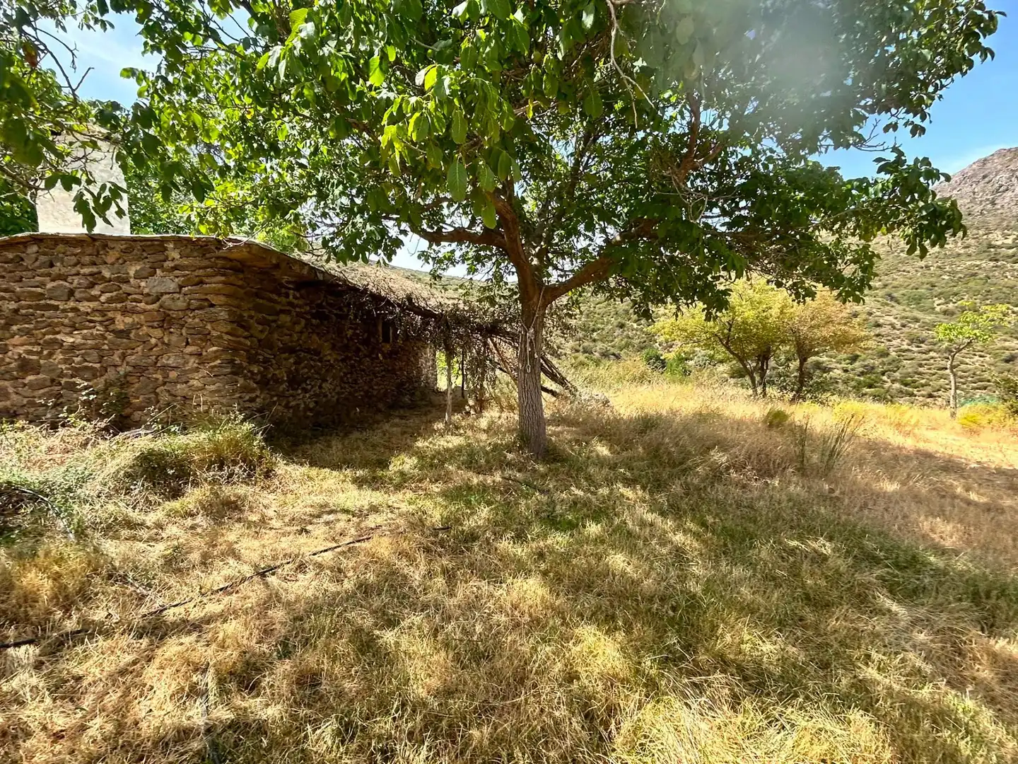Terreno rústico en venta en Güéjar Sierra, imagen 6