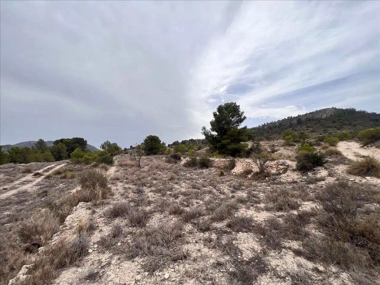 Residential land for sale in Proc. Simplificado, imagen 16
