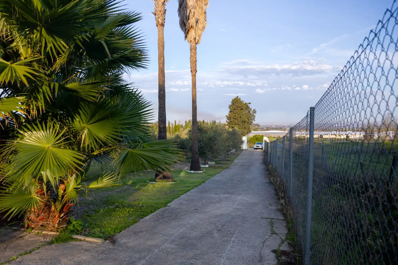 Vista exterior de Finca rústica en venta en Jerez de la Frontera con Jardín privado