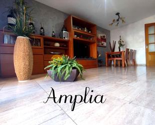 Living room of Single-family semi-detached for sale in Abrera  with Heating, Terrace and Swimming Pool