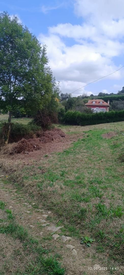 Residencial de lloguer en Oviedo 
