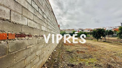 Foto 4 de Pis en venda a San Pedro de Mérida, Badajoz