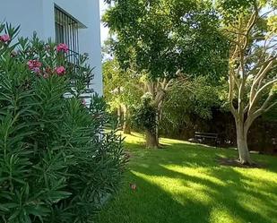 Jardí de Apartament en venda en La Campana