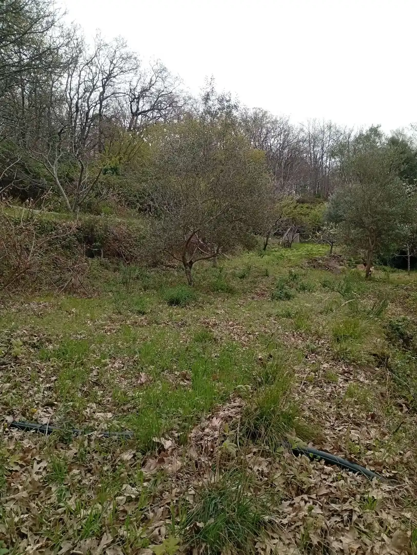 Terreni e lotti in vendita a Valverde de la Vera, imagen 33