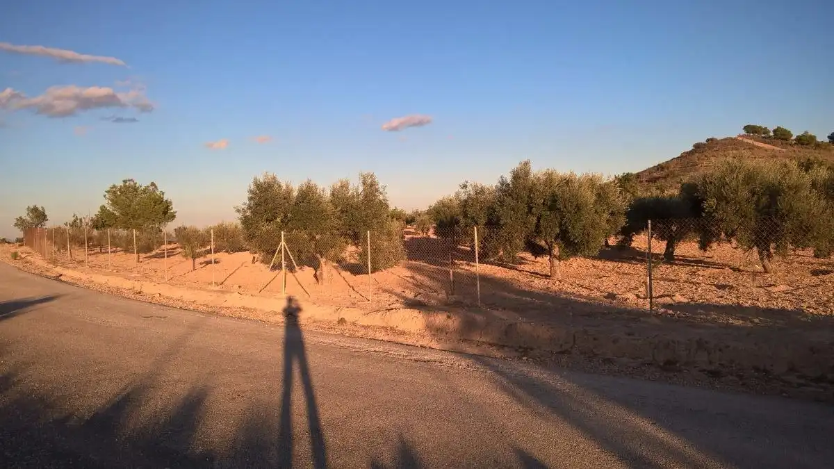 Finca rústica en venta en Alcantarilla