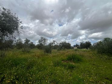 Terreno rustico in vendita a Pilas