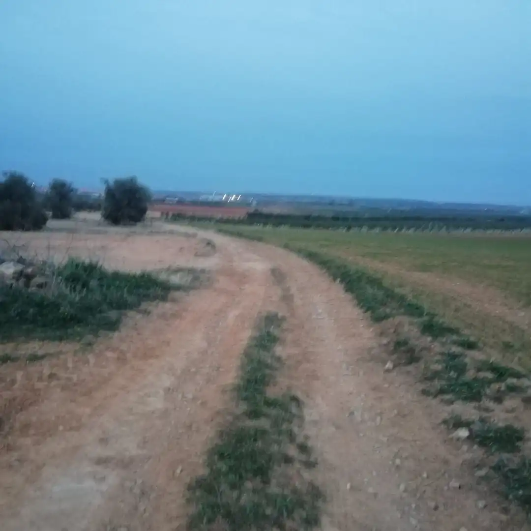Terreni e lotti in vendita a Villaminaya, imagen 4