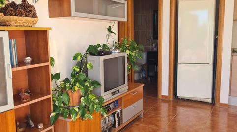 Foto 4 de Apartament en venda a Urbanizacion Muntanyes del Mar, Canyelles, Barcelona