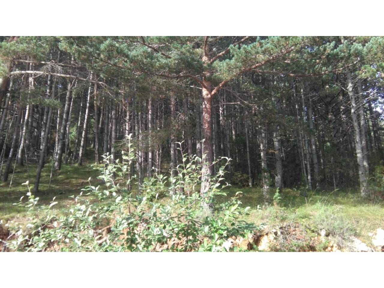 Residencial en venda en La Coma i la Pedra