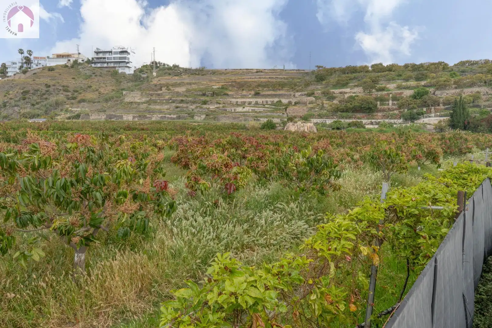 Residential for sale in CARRETERA MALAGA (CAL), 74, La Caleta - La Guardia
