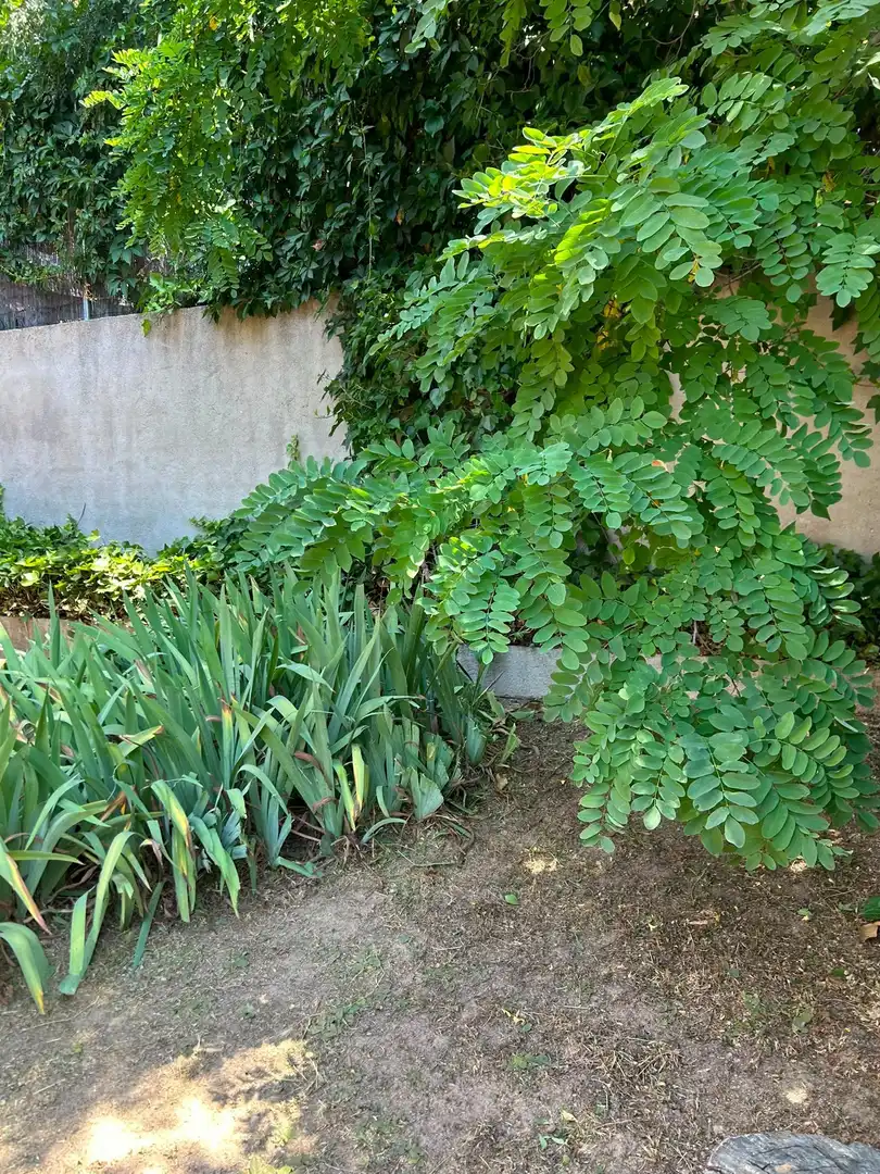 Casa amb jardí en venda a Colmenarejo, imagen 75