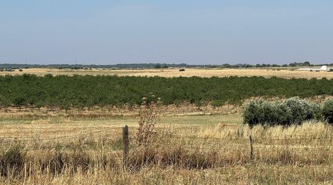 ToledoTerreno, imatge 5