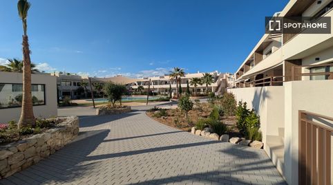 Photo 5 of Room in La Veleta, Torrevieja