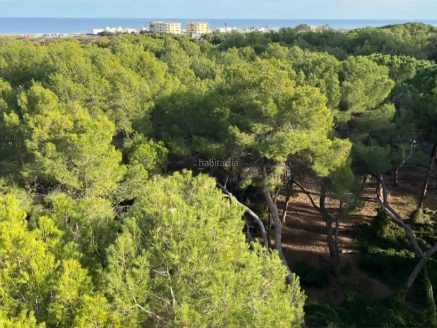 Pis amb piscina de lloguer a Avenida Gola del Puchol 6, imagen 28