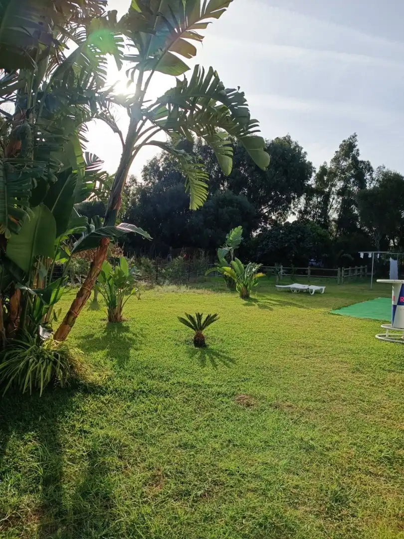 Jardín de Casa o chalet en venta en Tarifa con Jardín privado y Terraza