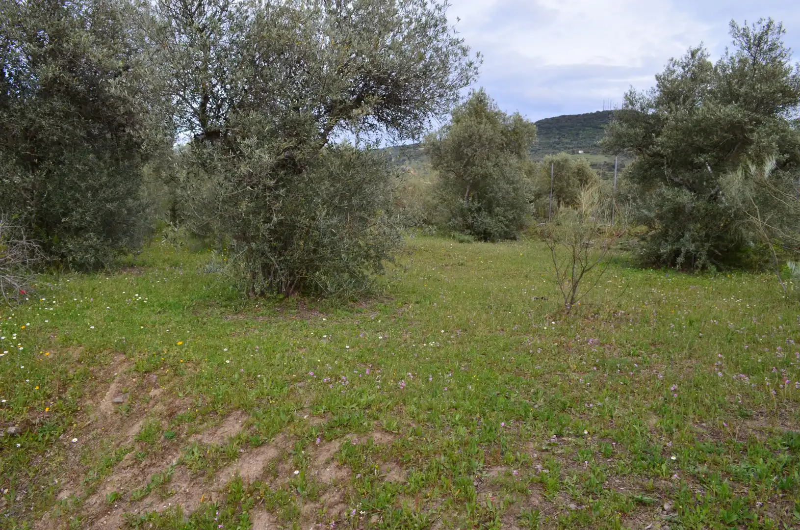 Terreni e lotti in vendita a Zona Sur - Av. de España - San Miguel, imagen 16