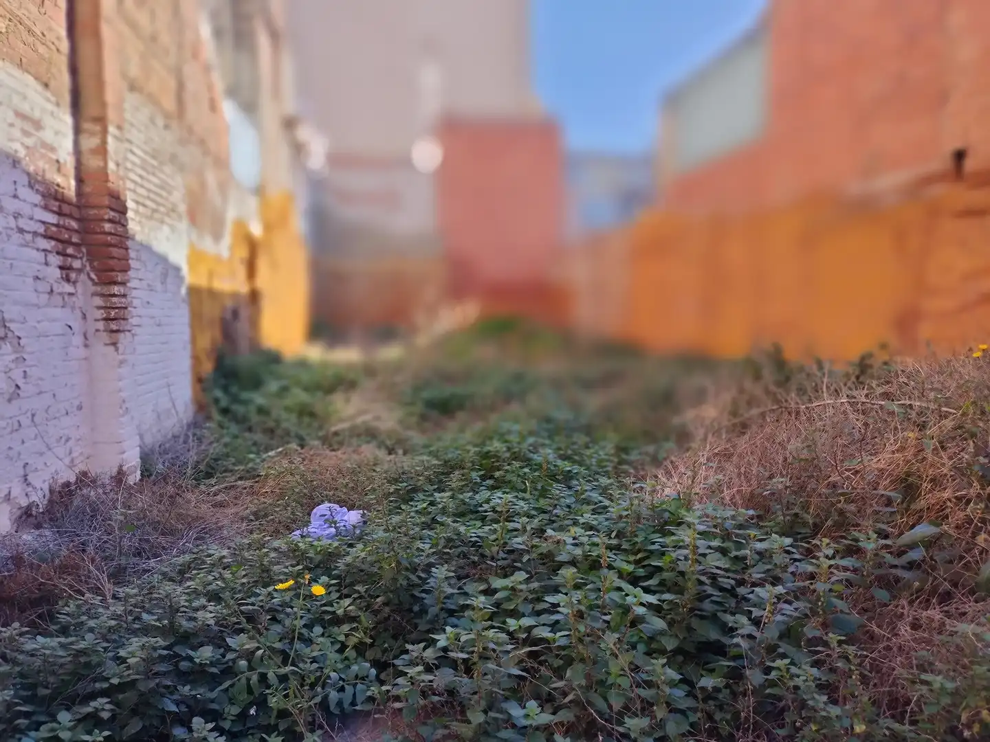 Exterior view of Residential for sale in Badalona