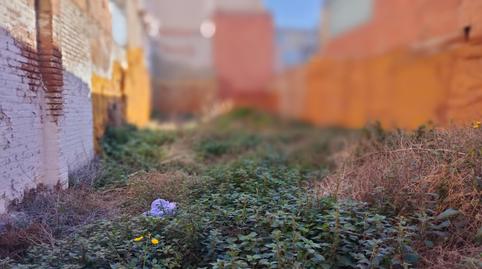 Foto 5 de Residencial en venda a Carrer de Sant Antoni Abat, Llefià, Barcelona