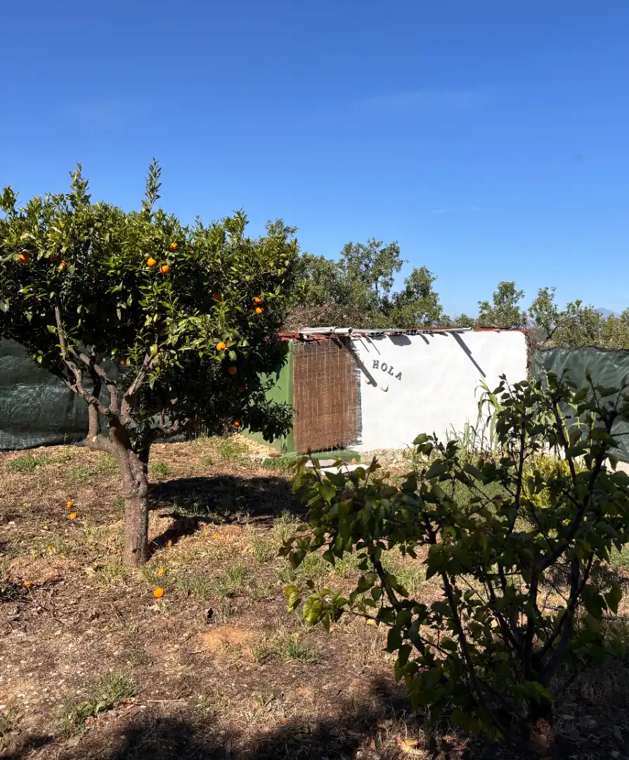 Casa o chalet en venta en Alhaurín de la Torre con Aire acondicionado, Calefacción y Jardín privado