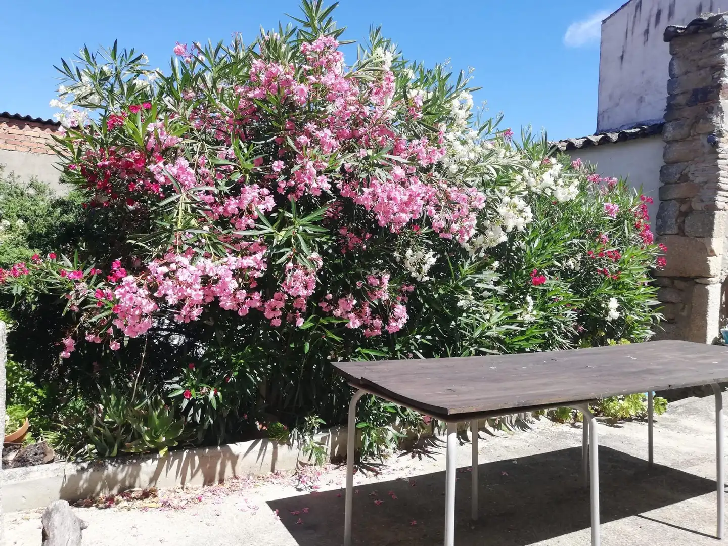 Casa o chalet en venta en Alcuéscar