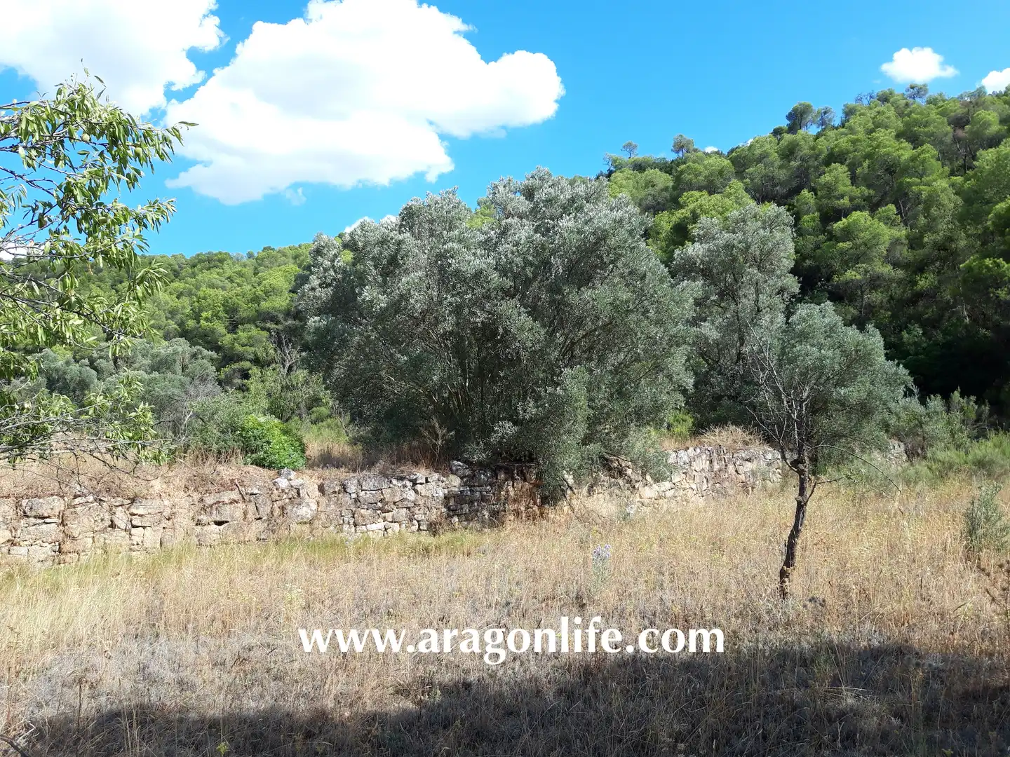Finca rústica en venta en Fabara