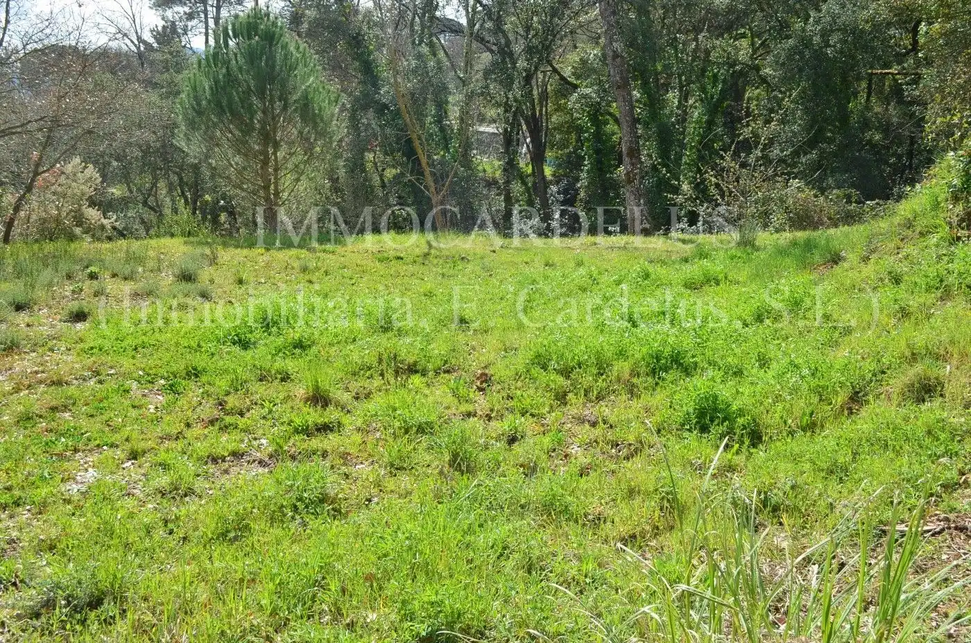 Terreny residencial en venda a Riells i Viabrea, imagen 11