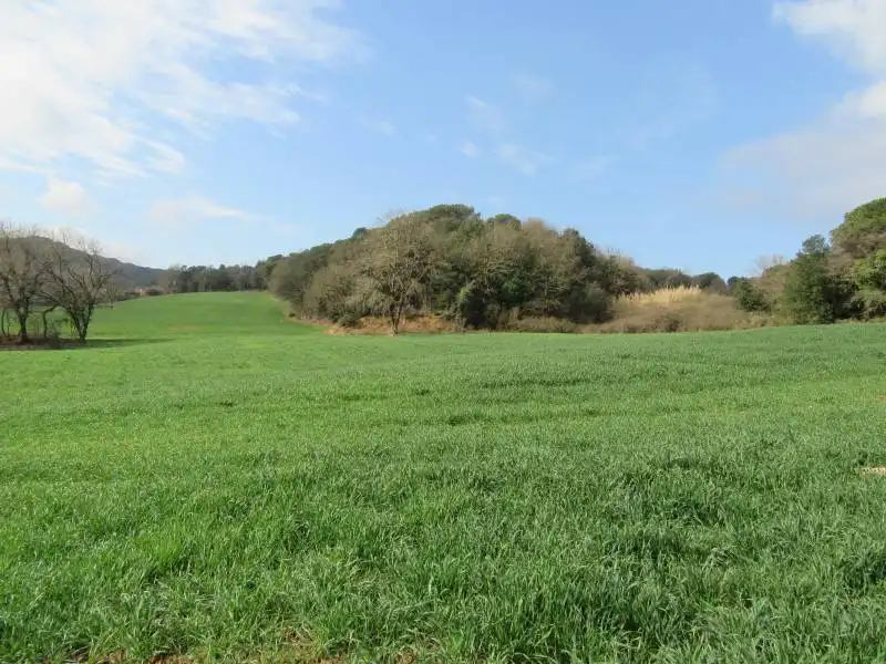 Terreno rústico en venta en Santa Maria de Palautordera, imagen 16