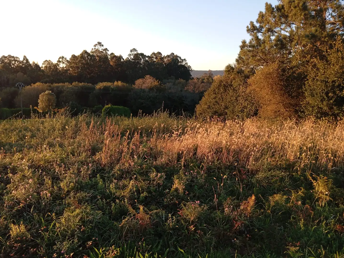 Residential for sale in A Laracha  