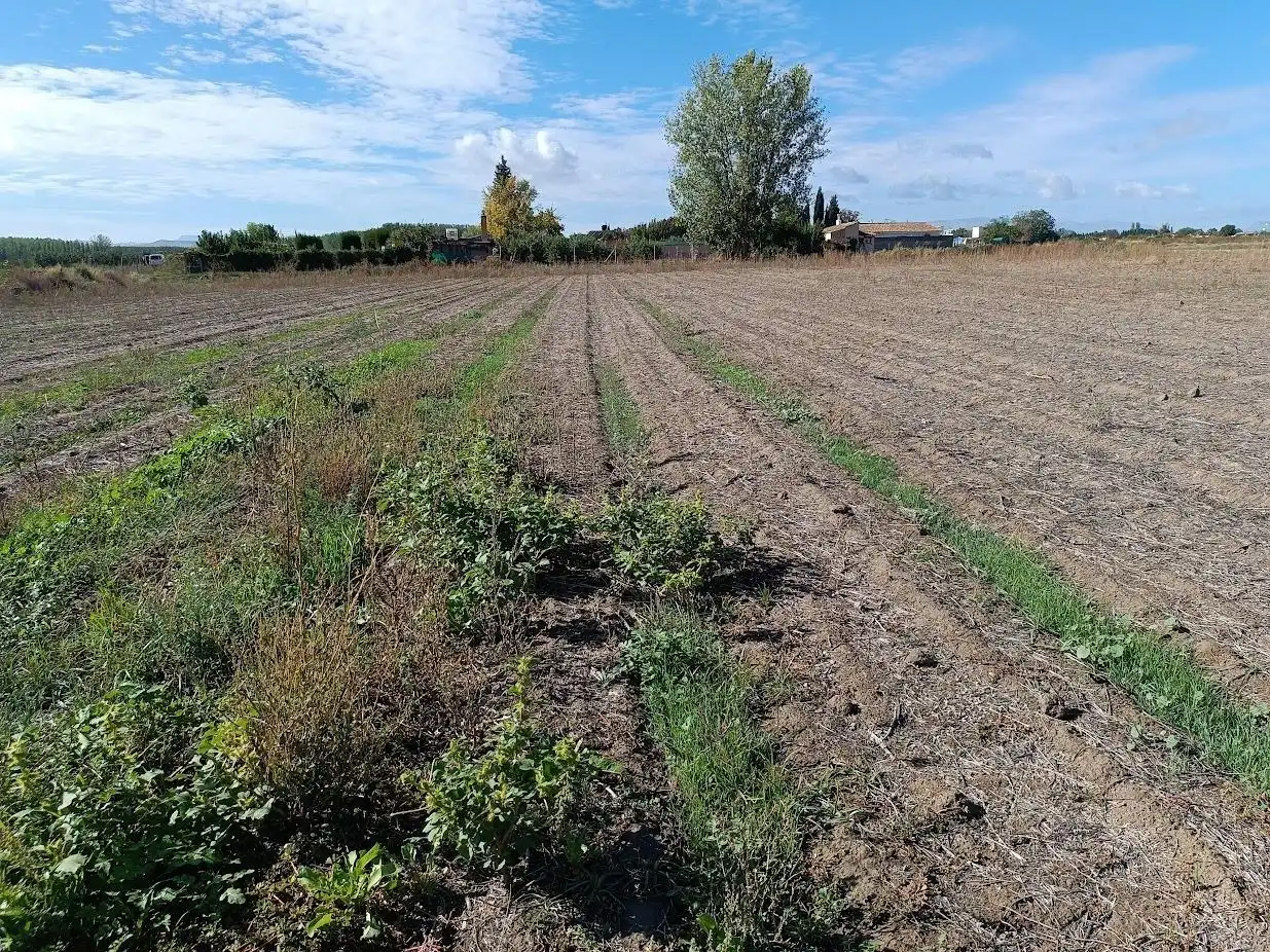Rustikales Grundstück zum Verkauf in Calle Betbenal de pinos puente, imagen 23