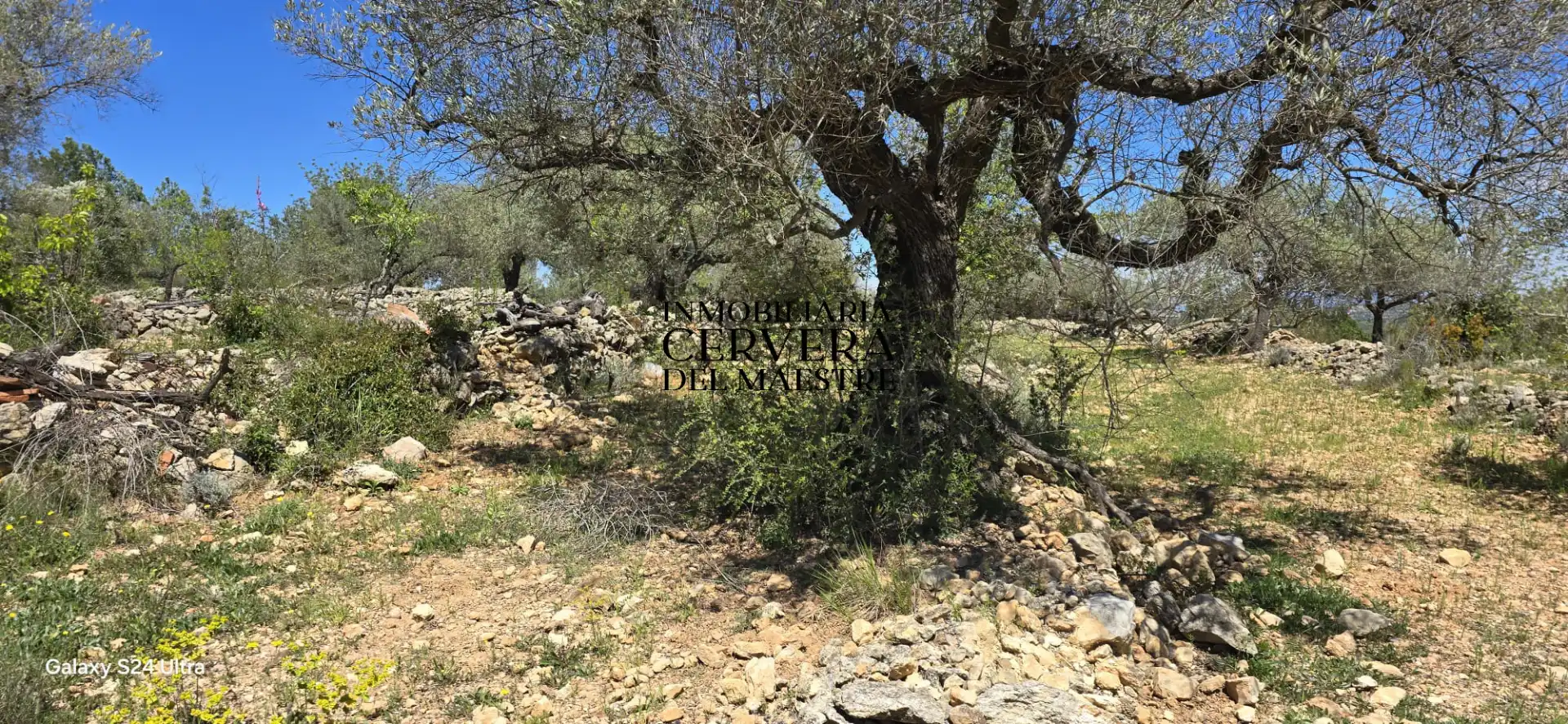 Finca rústica en venda en Cervera del Maestre amb Moblat