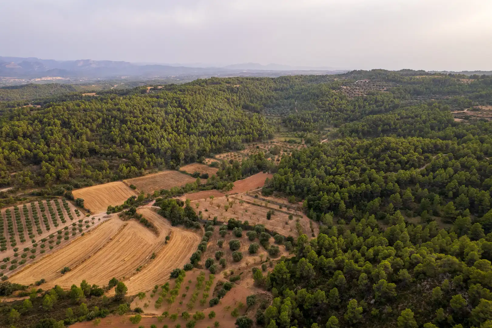 Terreni e lotti in vendita a Lledó, imagen 3