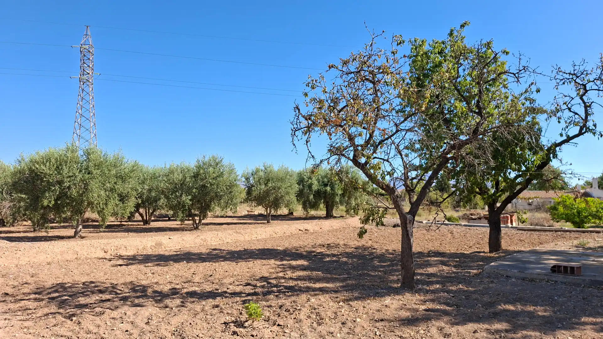 Houses for sale in Camí del Carreret, Los Girasoles