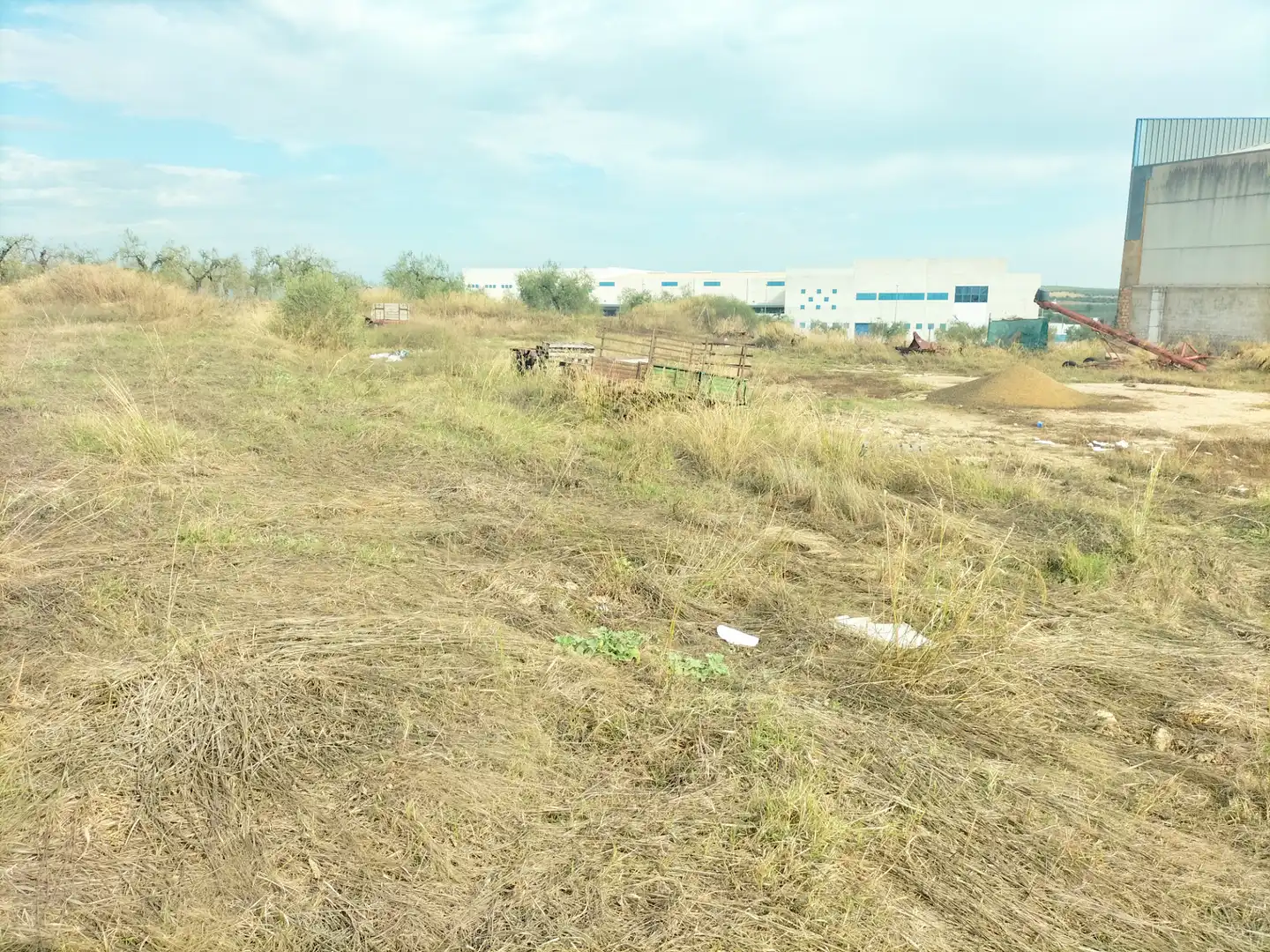 Terrenos y solares en venta en Olivares, imagen 3