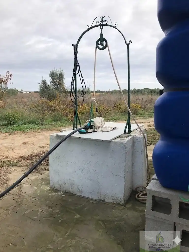 Jardín de Finca rústica en venta en Bollullos Par del Condado con Alarma