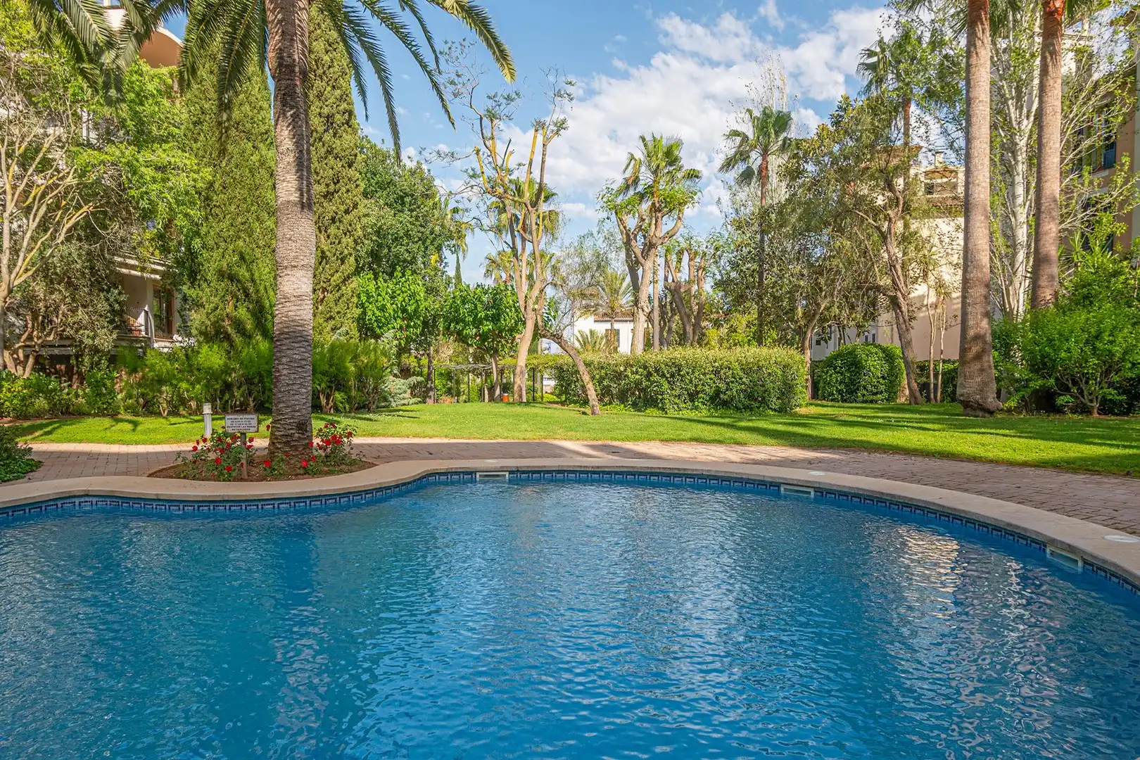 Piscina de Pis de lloguer en  Palma de Mallorca