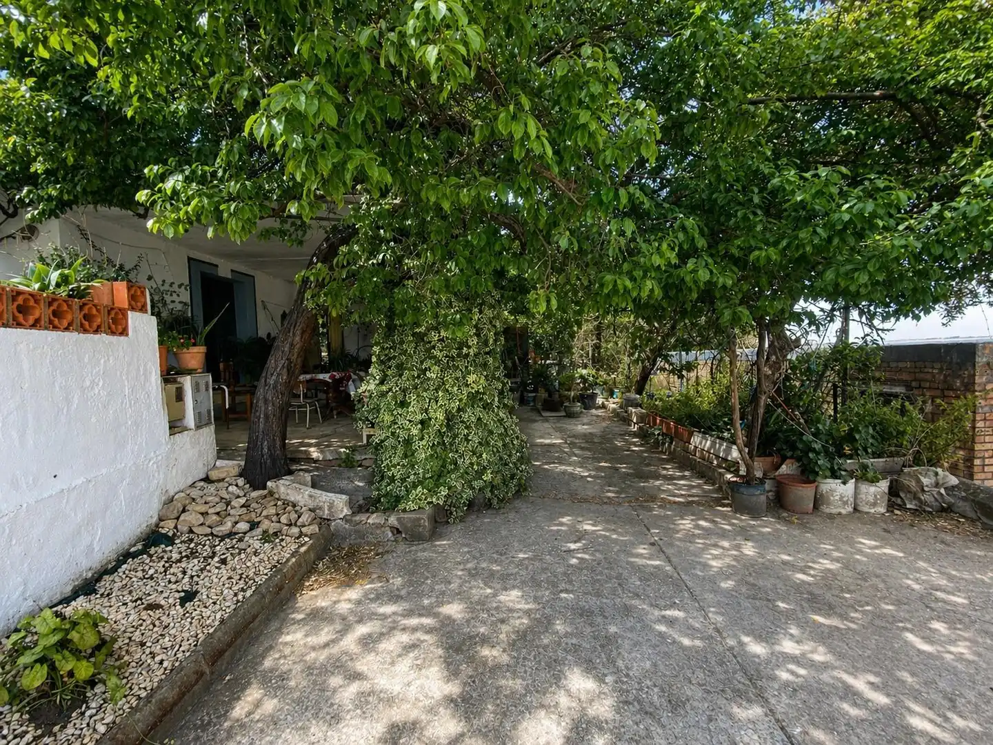 Terrace of Country homes for sale in Alcalá de los Gazules